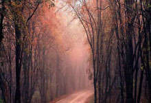 问鼎app官网:看国际网球比赛 为中国选手加油 五一小长假尽在南沙!.