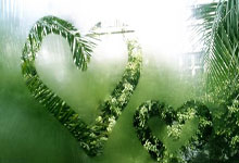 季后赛形势分析:湖人灰熊输球造西部悬念 东部附加赛区顺位竞争激烈.