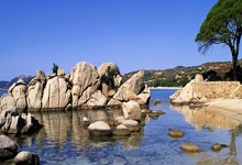 2025年全国室内田径大奖赛(第三站)在济南开赛.